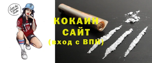 первитин Новодвинск