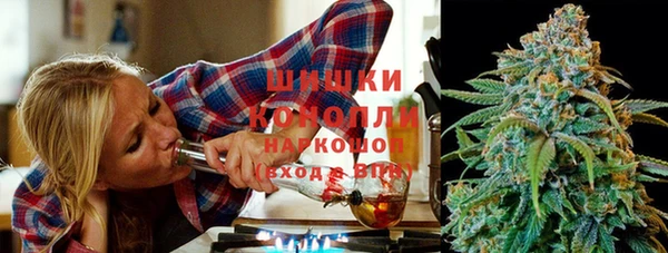гидропоника Новозыбков