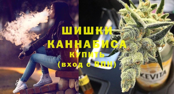 первитин Новодвинск