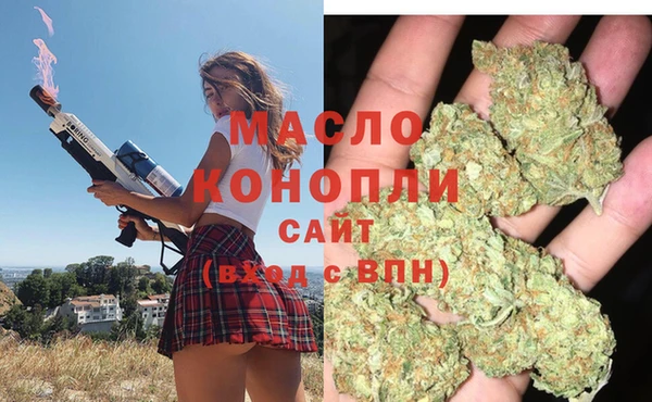 гидропоника Новозыбков